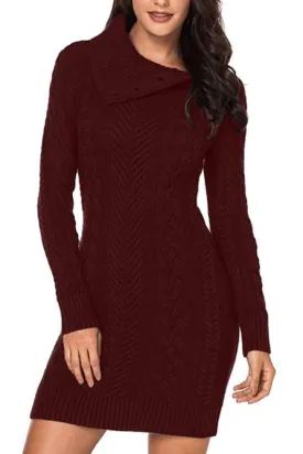 Asymmetric Buttoned Collar Burgundy Bodycon Sweater Dress
