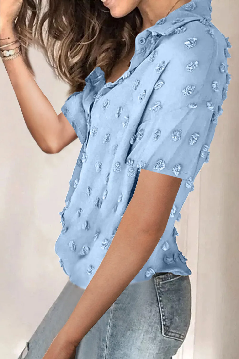 Button Down Short Sleeve Sheer Swiss Dot Shirt