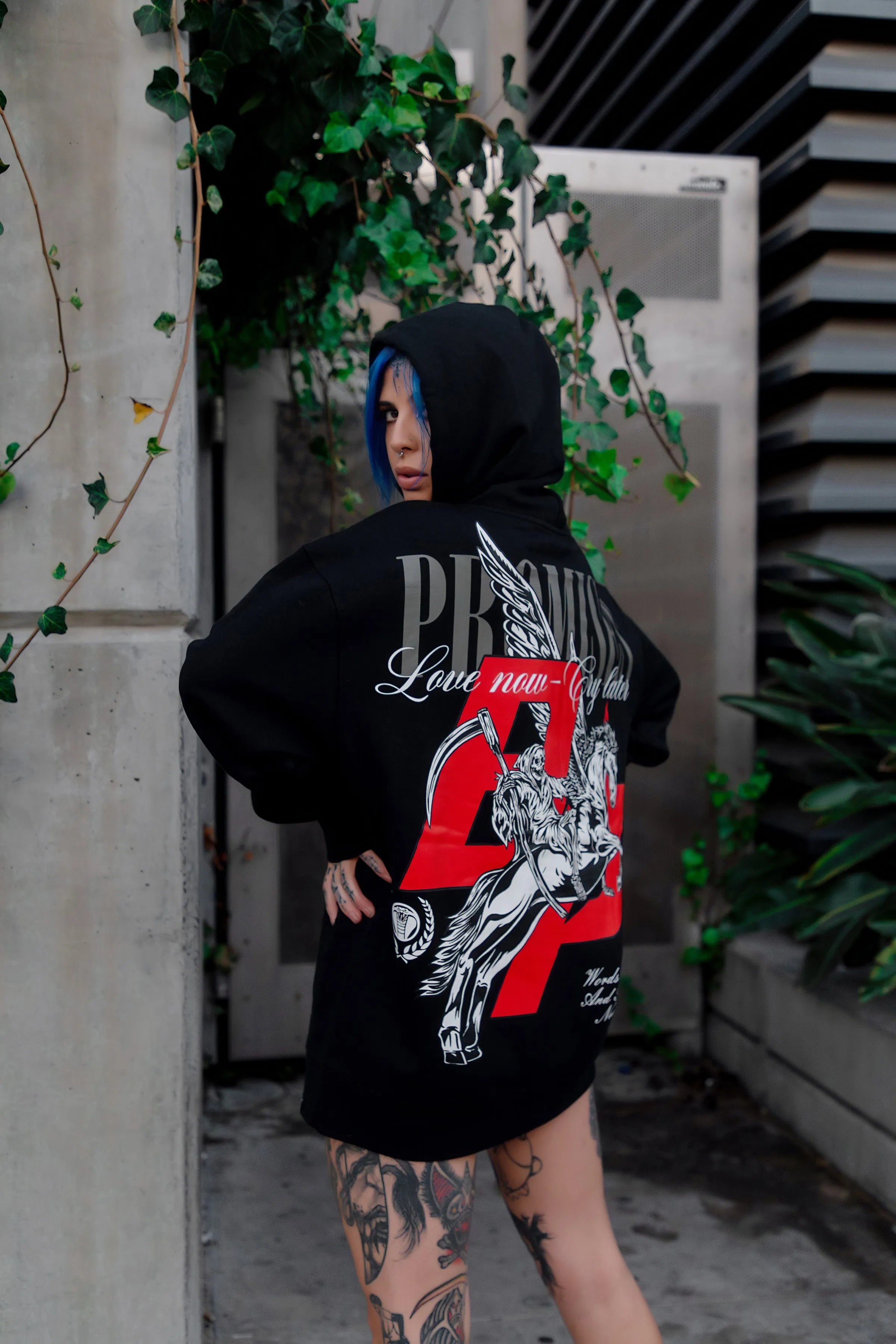 Pegasus Hoodie
