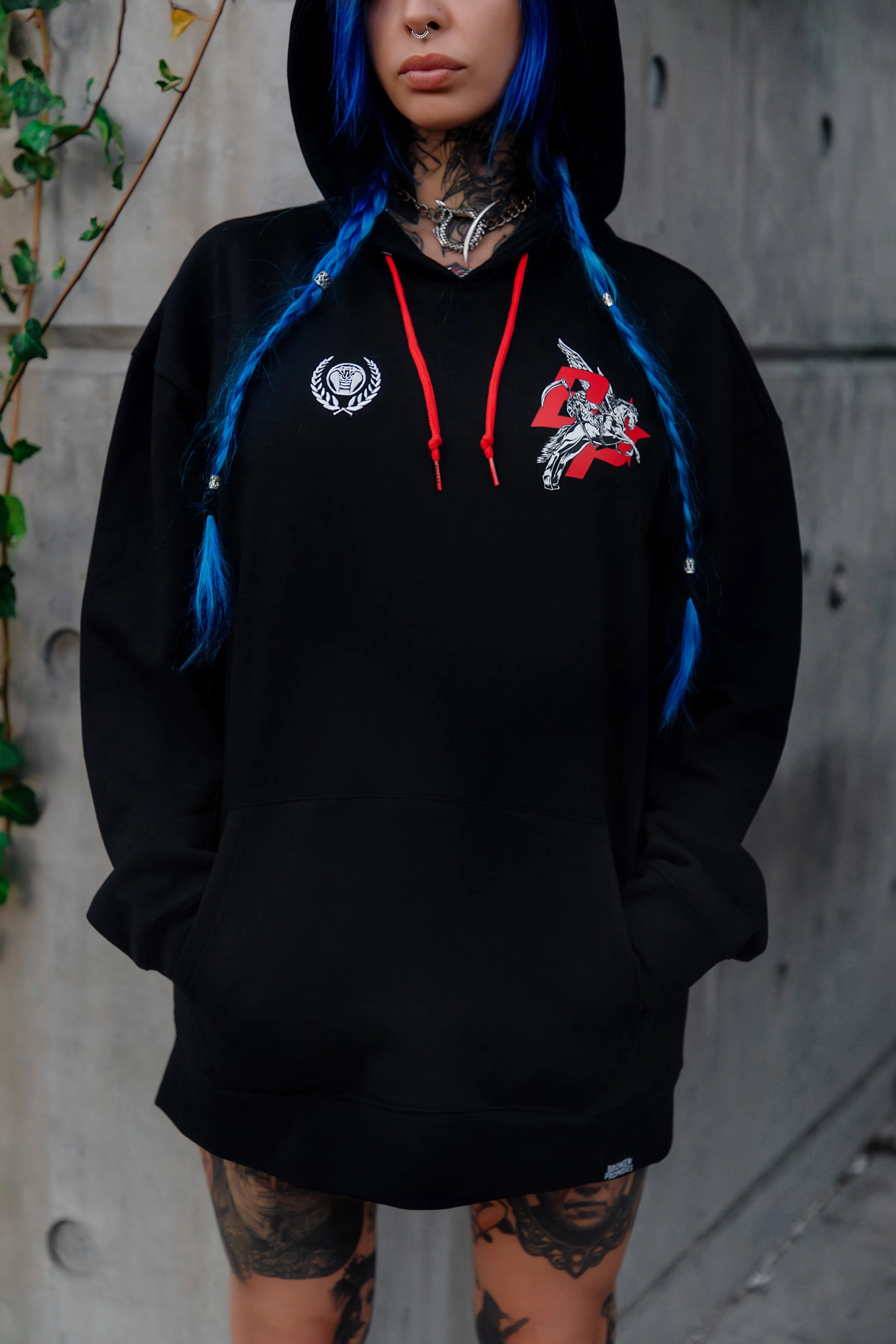 Pegasus Hoodie